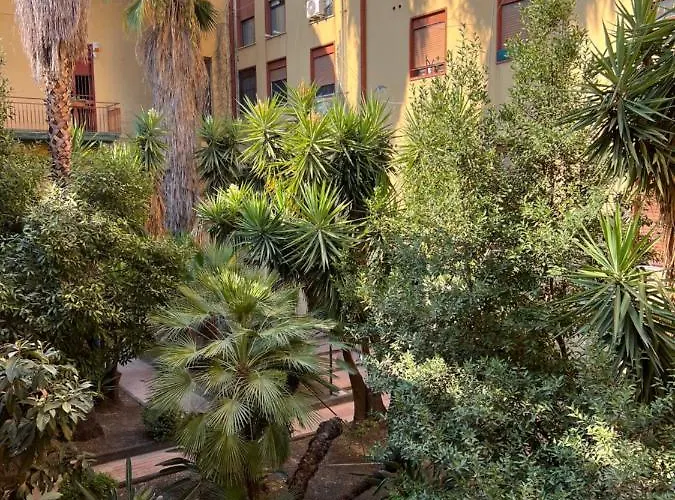 Casa *
